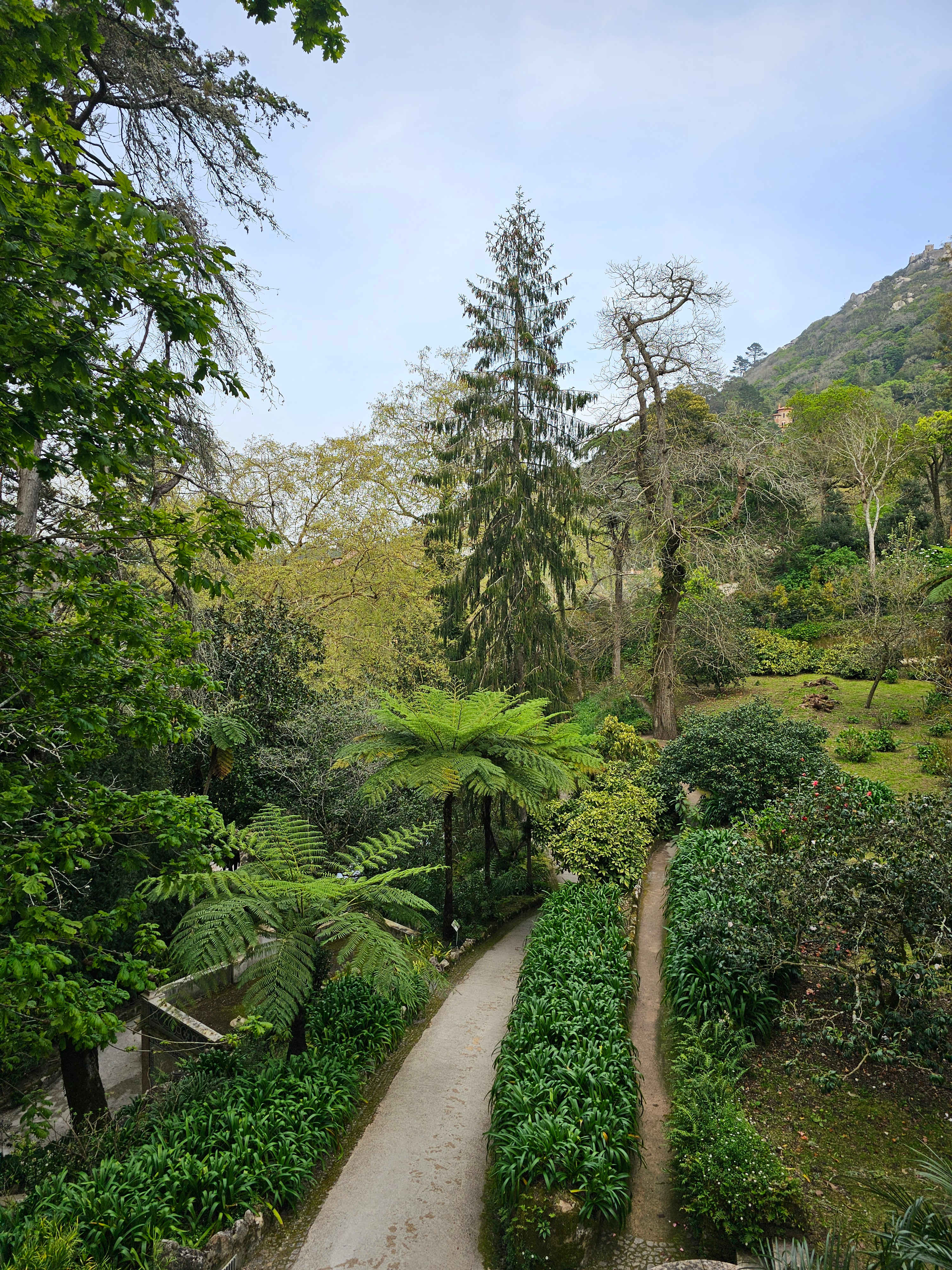 Sintra